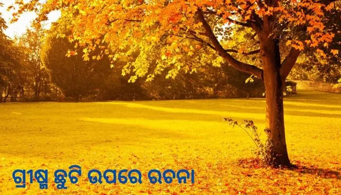 Summer Vacation Essay in Odia